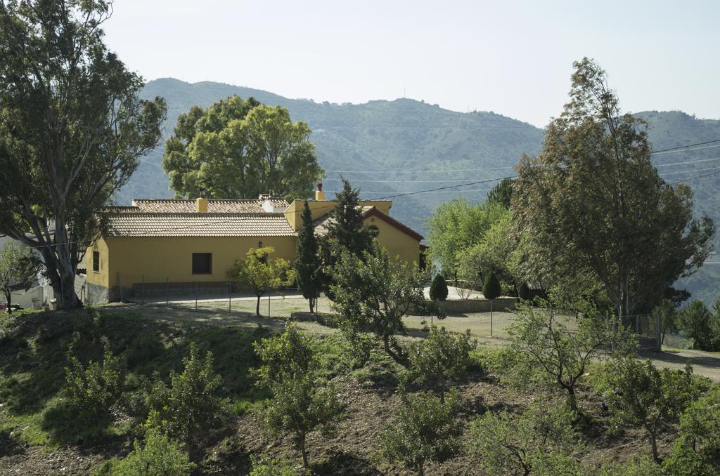 Вілла Rural Montes Malaga: Lagar Don Sancho Номер фото